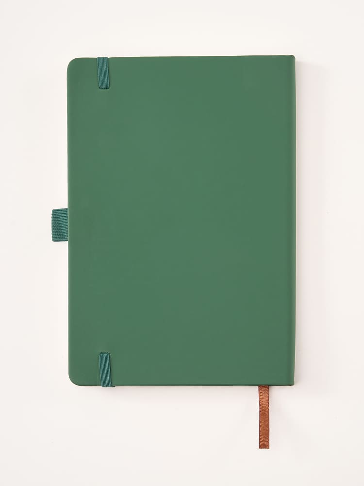 Lorenzo, Light olive grey